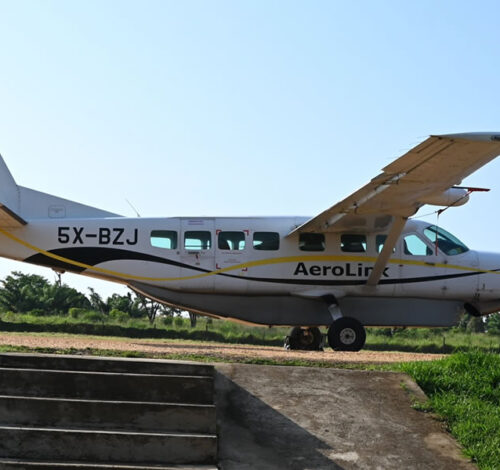 6 Day Combined Kidepo Valley Safari and Gorilla Trekking