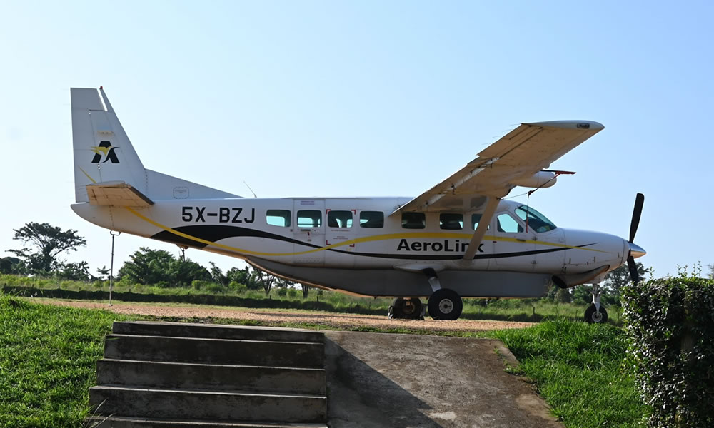 6 Day Combined Kidepo Valley Safari and Gorilla Trekking