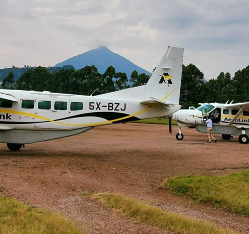 4 Day Scenic Fly-In Chimpanzee Tracking Tour
