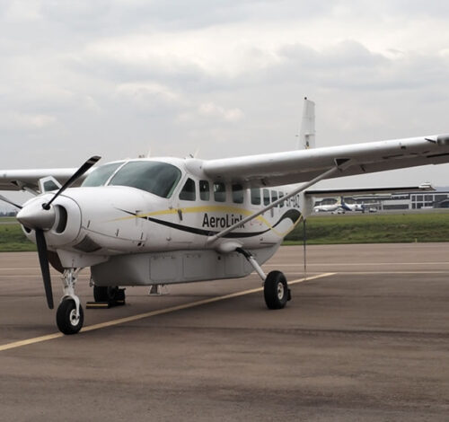 6 Day Fly-In Primate Trekking Adventure Safari