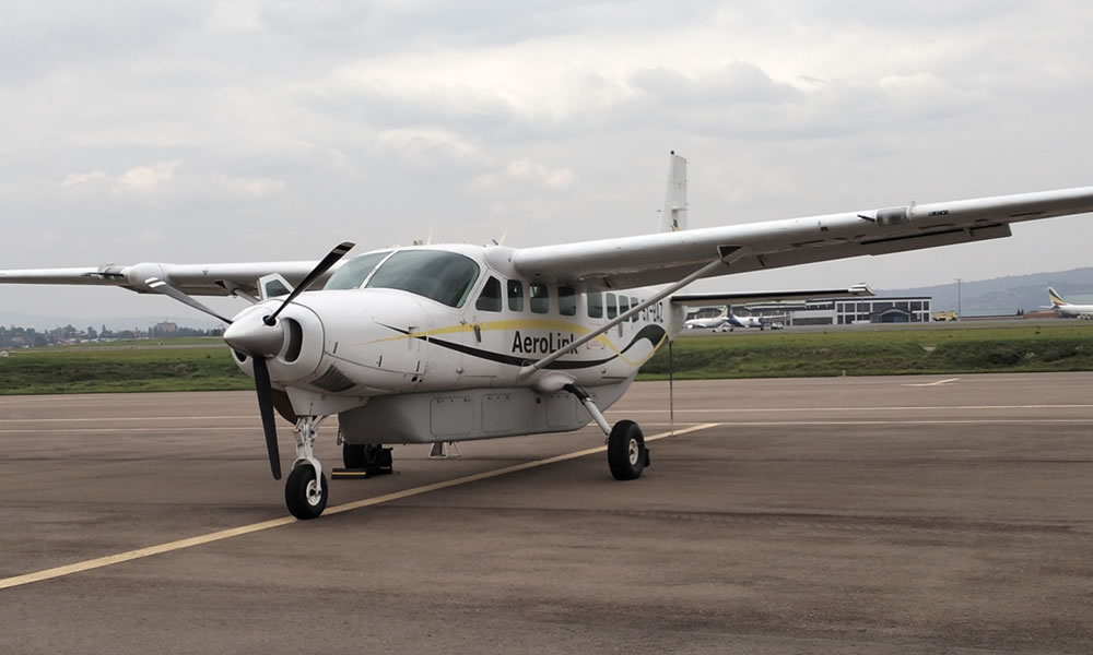 6 Day Fly-In Primate Trekking Adventure Safari