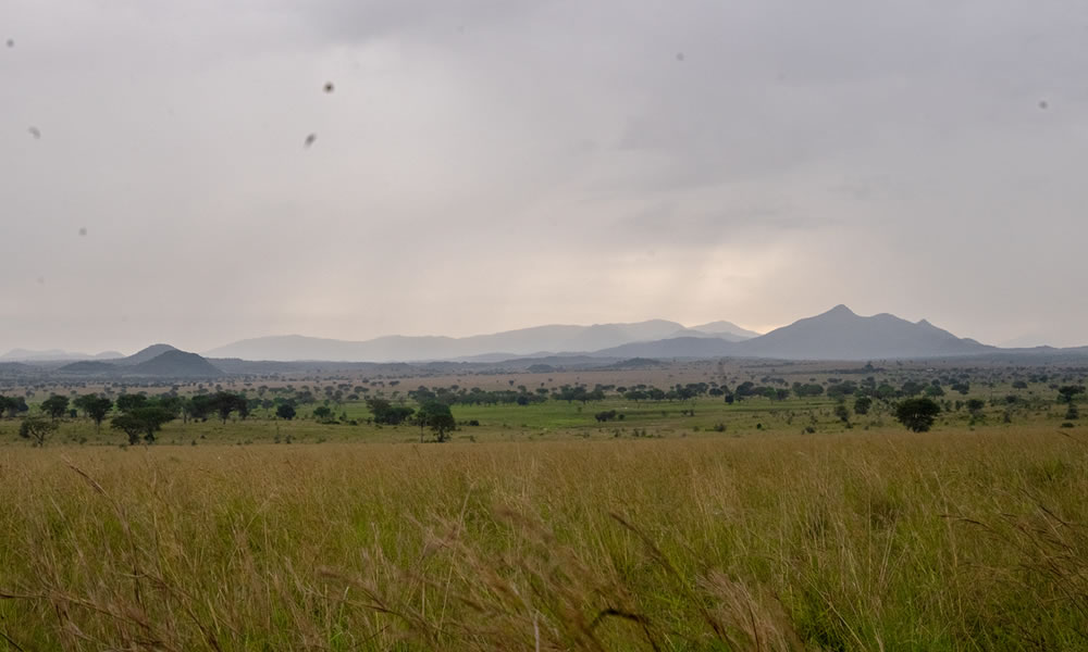 6 Day Safari to Kidepo Valley National Park