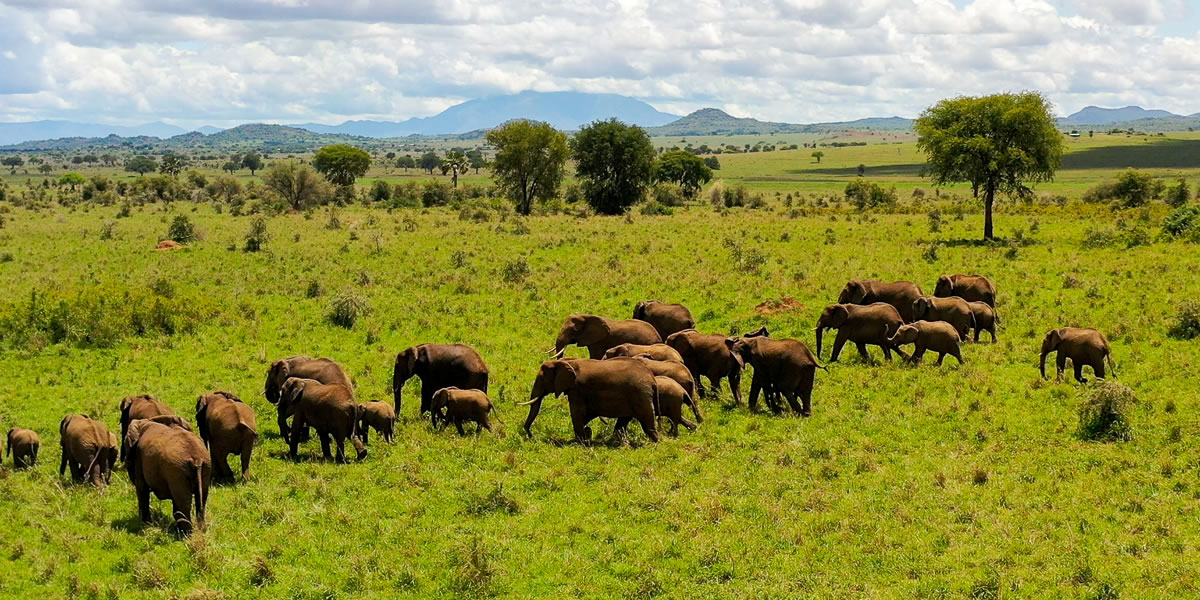 Kidepo Valley National Park, Uganda National Parks