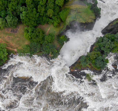 4 Day Safari to Murchison Falls National Park