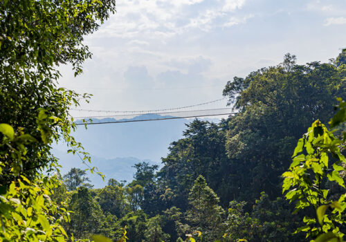 Nyungwe Forest National Park