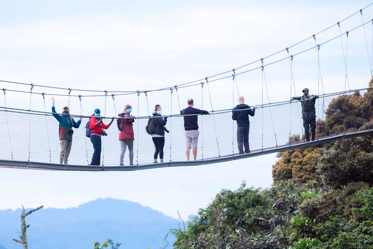Canopy Walk Experience in Rwanda
