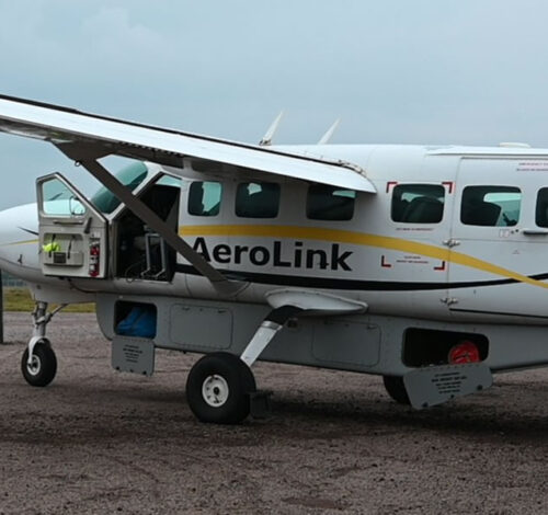 8 Day Fly-In Safari and Primate Trekking Adventure
